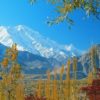Gilgit-Hunza-Baltistan-Tour-800x375.jpg